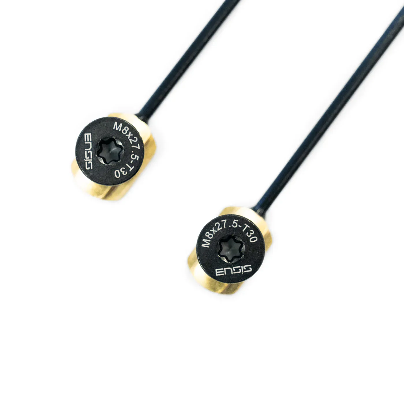 ENSIS BONE T-NUT SET